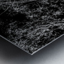 Tree dream Metal print