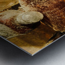 Dust covered medicine bottles Metal print