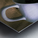 Bean brewhouse  Metal print