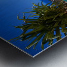 Surfers Paradise Metal print