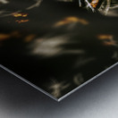 Splinters of finality Metal print