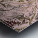 Awash in nature Metal print