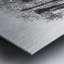 Shades of grey Metal print