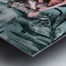 Jungle discovery Metal print