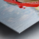 Clean House Inspector Metal print