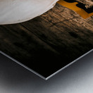 Skull and cross-examination  Metal print