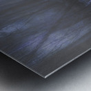 Mystery pathway Metal print