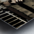 Midnight Musician Metal print