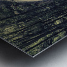 Natural wonder Metal print