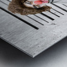 Clown Mug Shot Metal print