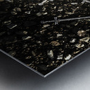 Battle blades Metal print