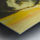 Night owl Metal print