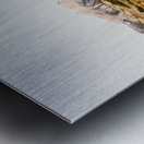 Rugged Australian bushland Metal print