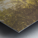 Trailing mystery Metal print