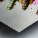 Rainbow shades Metal print