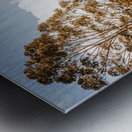 Scene from the outback Metal print