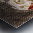 Pressing issues of a window POW Metal print