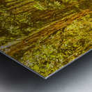 Island inland Metal print