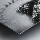 In Vision Metal print