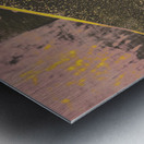 Vintage skateboard ruling the road Metal print