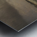 Goodbye sunshine Metal print