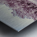 Wild Frost Metal print