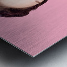 Funny pinup girl with ice cream in isolated studio Metal print