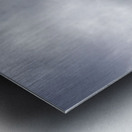 A Flight Of Hope Metal print