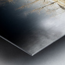 Field Of Terror Metal print