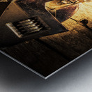 Reprogramming Centre Metal print