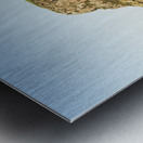 The Stanley Nut Metal print