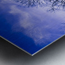 Halloween woodland Metal print