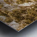 Vivid tree in a outback Australia Metal print