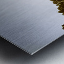 Sunset on rural Zeehan Metal print