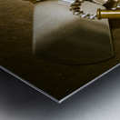 Courage and bravery Metal print