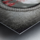 The gull who could no longer sea Metal print