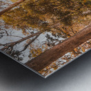 Falls Undergrowth  Metal print