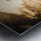 Setting Sail Metal print