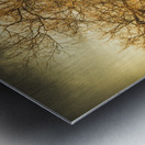 Oatlands autumn tree Metal print