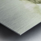 Natural mountain beauty Metal print