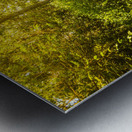 Wander Land  Metal print