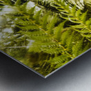 Russell Falls background Metal print