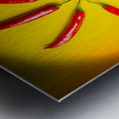 Summer heat Metal print