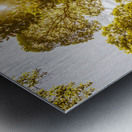 Amity Vl. Metal print