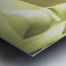 Missing without a trace Metal print