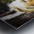 Beauty In Silence Metal print