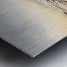 Rocky seashore scene  Metal print