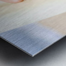 Surf Romance Metal print