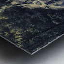 Forest falls Metal print