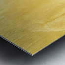 Golden Roo Metal print